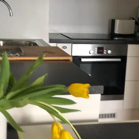 아파트 Scandinavian Design Stylish 1br Heart Center With Balcony 12