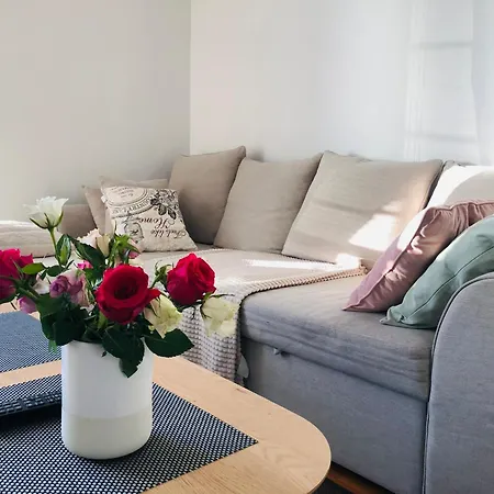 Scandinavian Design Stylish 1br Heart Center With Balcony 12 Apartment *